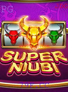 SuperNiubi: Uma Imersão no Mundo do Jogo Inovador 79F.CC